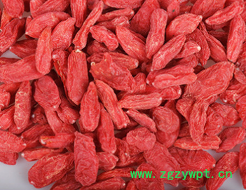 杞福源宁夏枸杞子散装干货批发即食免洗中宁县红枸杞子代工贴牌图5