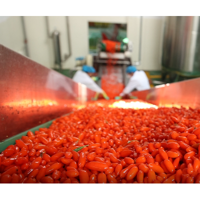 杞福源宁夏枸杞500克袋装产地批发新货中宁枸杞特优级干货代工