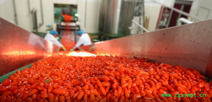 杞福源新货宁夏枸杞子中宁枸杞散装批发即食特大头茬原料批发图3