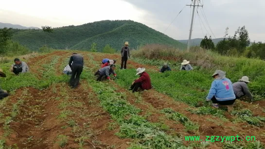 mmexport1713881239634