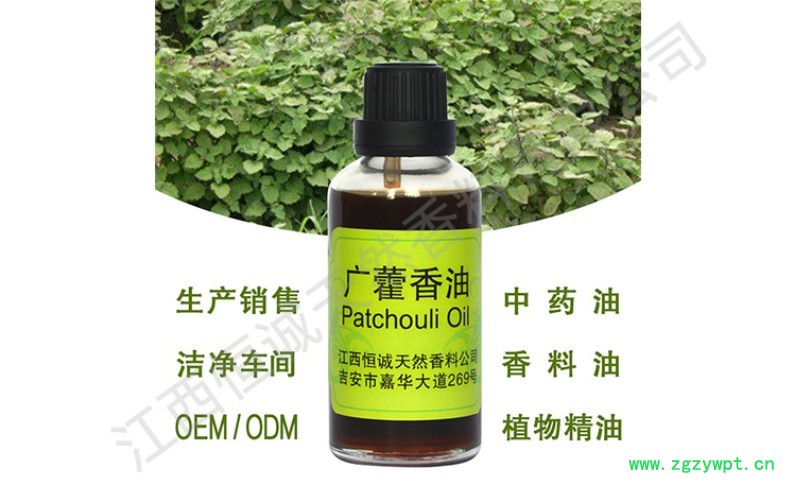 广藿香油 红紫苏叶油 中药油 香料油 植物提取物图2