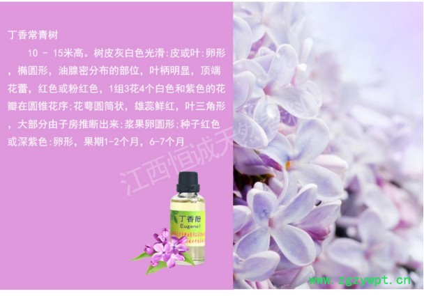 丁香酚，丁香油 ，丁香花蕾油，丁香罗勒油图2
